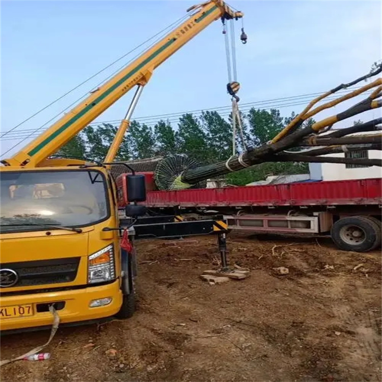 沙湖镇100吨吊车租赁费用怎么算？3大关键因素+省钱技巧全解析